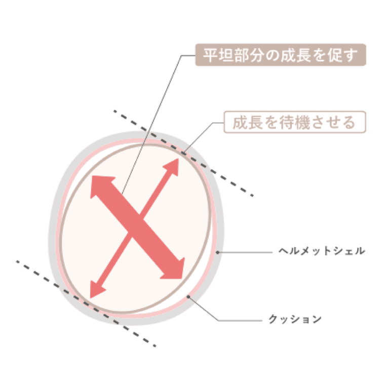 ヘルメットの内部の図